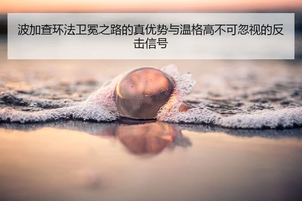 bo-jia-cha-huan-fa-wei-mian-zhi-lu-de-zhen-you-shi-yu-wen-ge-gao-bu-ke-hu-shi-de-fan-ji-xin-hao-2-422.jpg