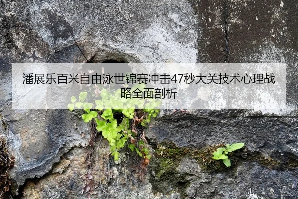 潘展乐百米自由泳世锦赛冲击47秒大关技术心理战略全面剖析
