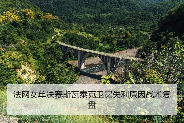 fa-wang-nv-dan-jue-sai-si-wa-tai-ke-wei-mian-shi-li-yuan-yin-zhan-shu-fu-pan-2-528.jpg