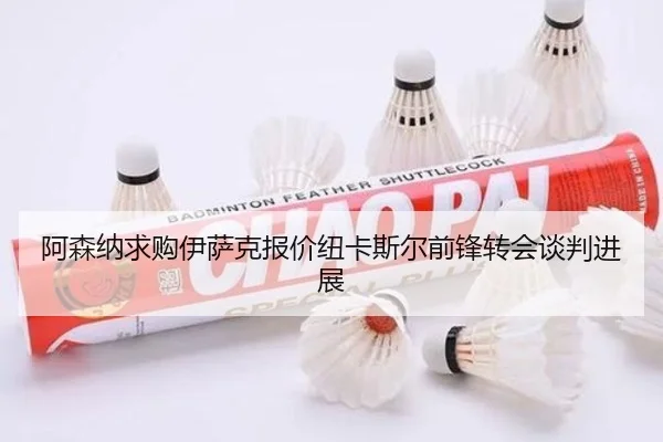 阿森纳求购伊萨克报价纽卡斯尔前锋转会谈判进展