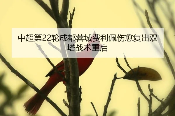 zhong-chao-di-lun-cheng-du-rong-cheng-fei-li-pei-shang-yu-fu-chu-shuang-ta-zhan-shu-chong-qi-2-426.jpg
